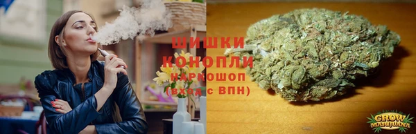 молекула духа Краснослободск