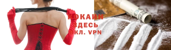 прущие грибы Коряжма