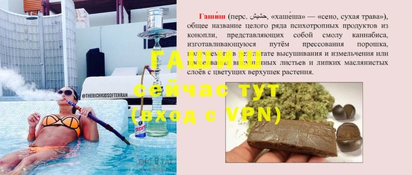 прущие грибы Коряжма