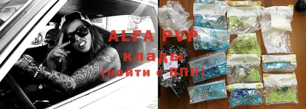 прущие грибы Коряжма