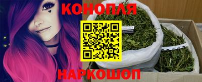 гидропоника Канаш