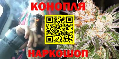 гидропоника Канаш