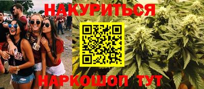 гидропоника Канаш