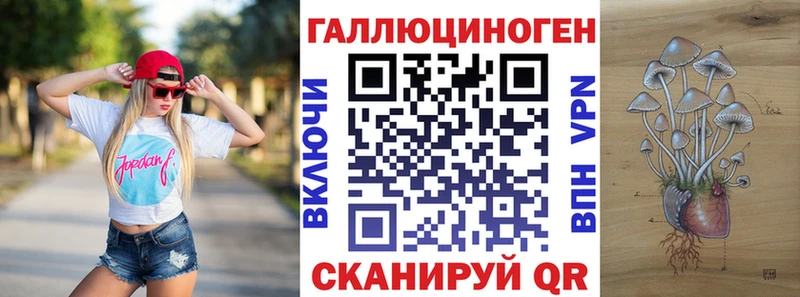 shop наркотические препараты  купить закладку  Моздок  Галлюциногенные грибы Magic Shrooms 