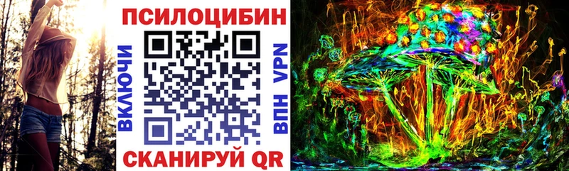 Псилоцибиновые грибы мухоморы Моздок